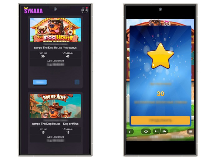 Специальные предложения