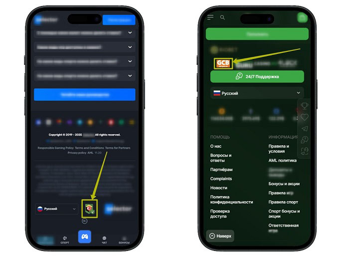 Общая информация