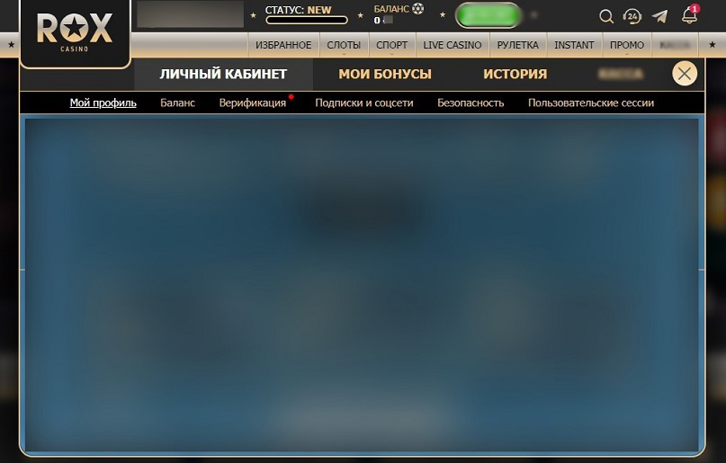 Вкладка для верификации