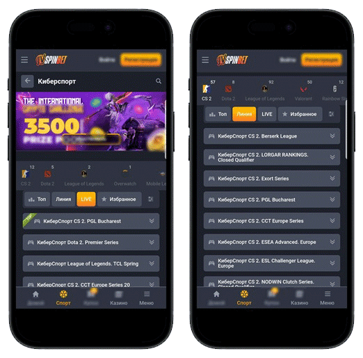 Букмекерская платформа