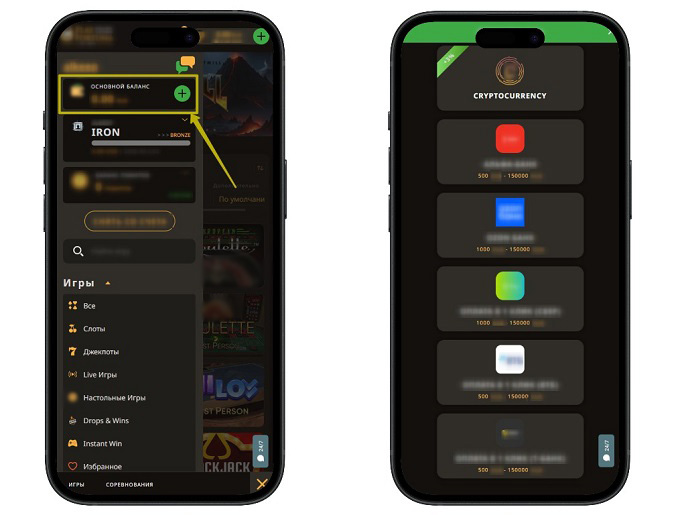 Платежный раздел