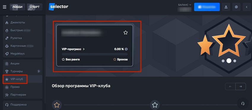 Раздел системы лояльности