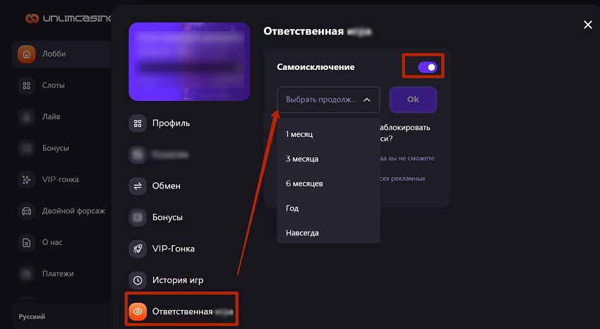 Страница ответственной игры