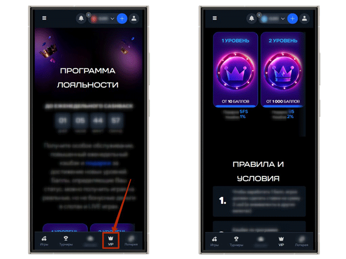 Бонусная программа