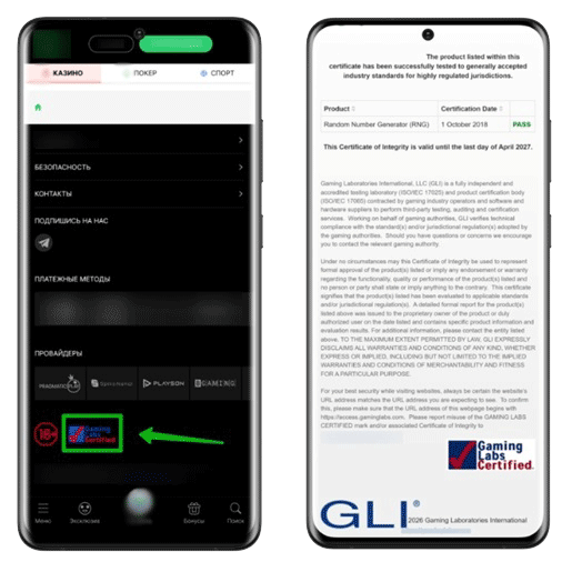 Подтверждение ГСЧ
