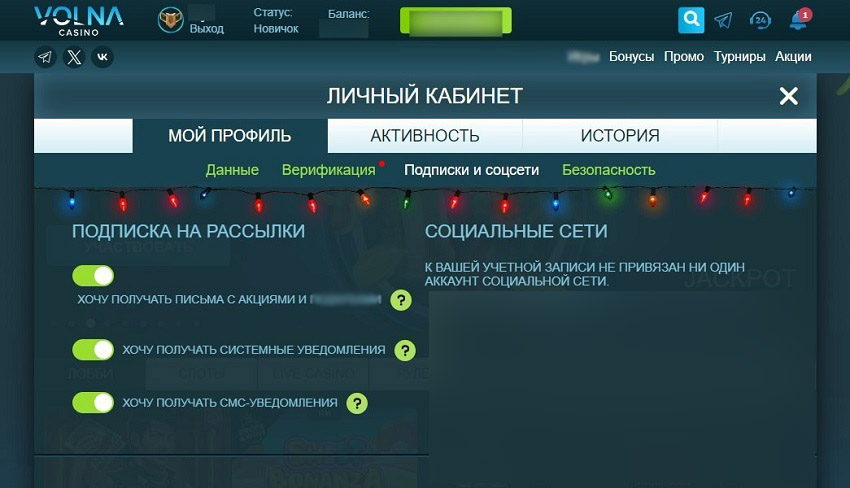 Учетная запись игрока