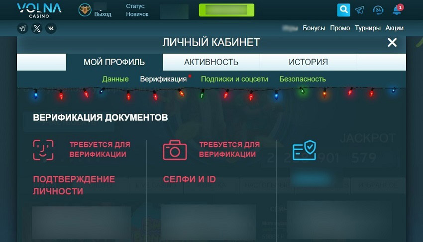 Подтверждение личных данных